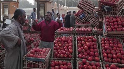 فيديو.. متحدث سوق العبور يكشف سبب ارتفاع أسعار الطماطم