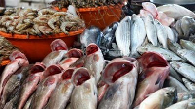 تعرف على أسعار السمك بالأسواق