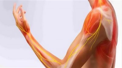 أهمهم الشوكولاتة.. لعلاج ضعف الأعصاب