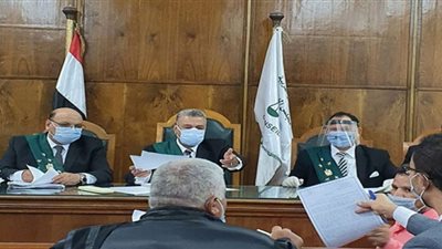 بالمستندات.. حكم نهائى ينقذ طفلة من زوجة الأب اشترطت تسجيلها باسمها