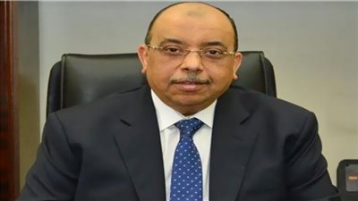 التنمية المحلية: رفع كفاءة 30 مجزرًا بـ 18 محافظة بتكلفة 1.2 مليار جنيه