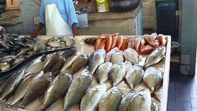 أسعار الأسماك اليوم في الأسواق