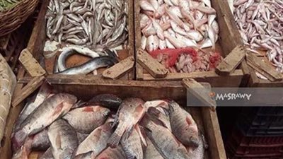 شعبة الأسماك : الأسعار مستقرة .. وكورونا سبب ضعف الإقبال