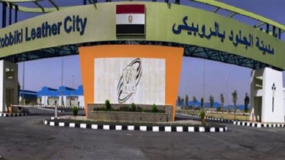 فيديو.. شعبة المدابغ: مشروع الروبيكي يُعيد مصر لرياداتها الصناعية