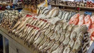 تباين أسعار الأسماك في سوق العبور اليوم