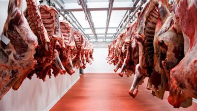 الطب البيطري بالجيزة يكشف الطرق الصحيحة لحفظ اللحوم بعد الذبح