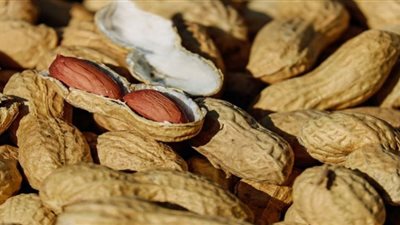 الفول السوداني يساعد على خفض ضغط الدم المرتفع والحماية من أمراض القلب