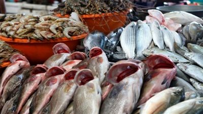 البلطي بـ٢٢.. تعرف على أسعار الأسماك في الأسواق