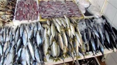 استقرار أسعار الأسماك في الأسواق