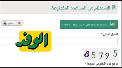 كشوفات أسماء المستفدين من صرف المساعدة المقطوعة برقم الطلب