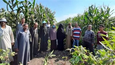 يوم حقلي إرشادي لمحصول فول الصويا بههيا