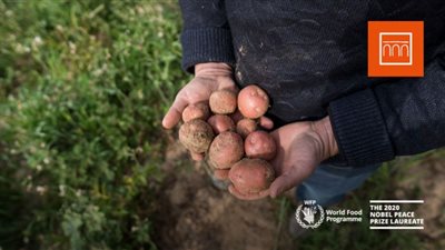 تعاون بين بنك الإسكندرية برنامج الأغذية العالمي لتحسين معيشة المزارعين بصعيد مصر