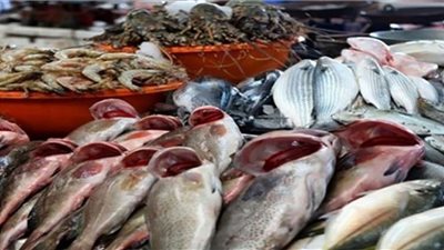 تباين أسعار الأسماك.. البلطي يبدأ من 19 جنيهًا