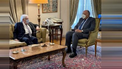 شكري يؤكد للمبعوث الأممي: حرية الملاحة في مضيق باب المندب تمثل أهمية خاصة للأمن القومي المصري