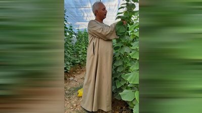 نقيب الفلاحين: يكشف 11 سبب وراء انخفاض اسعار المنتجات الزراعية