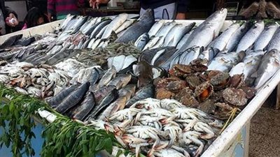 أسعار الأسماك اليوم في سوق العبور