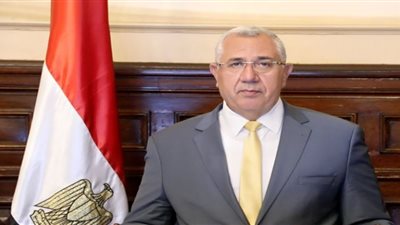 الزراعة توافق على استيراد 96 ألف رأس عجول أبقار استعدادا لعيد الأضحى