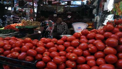 ارتفاع اسعار الثوم والفاصوليا والليمون بأسواق خضار المنيا