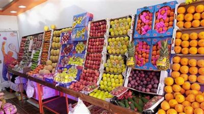 أسعار الفاكهة اليوم 4 أغسطس.. الخوخ بـ20 جنيهًا