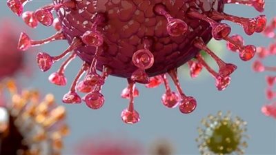 صحيفة فرنسية: انخفاض الإقبال على المطاعم بعد تطبيق الشهادات الصحية في فرنسا