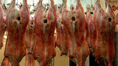 ضبط 60 كيلو لحوم لحيوانات ميتة بالمحلة