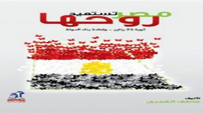 الغمرى يضع برنامجا اقتصاديا لتقدم مصر