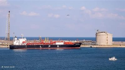 تداول 23 سفينة بميناء دمياط في 24 ساعة