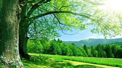 ماهي أوصاف الجنة المذكورة في القرآن الكريم؟