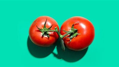 دراسة: الطماطم تحمي من سرطان المعدة