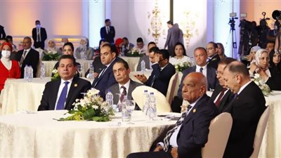 ممثلي الكيانات المصرية بالخارج لـ 