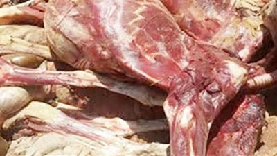 ضبط 12 طن لحوم فاسدة بحوزة أجنبي في سوق العبور