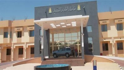 تطوير ورفع كفاءة 29 مدرسة وإنشاء 13 جديدة بالوادي الجديد