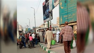 العناية الإلهية تنقذ ركاب سرفيس من السقوط بمياه بحر مويس بالشرقية