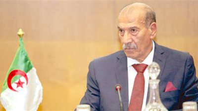 الجزائر: انتخاب أعضاء المحكمة الدستورية أكتوبر المقبل