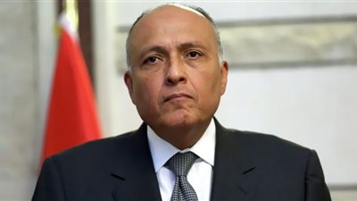 جلسة مباحثات ومؤتمر صحفي بين وزير الخارجية ونظيره الصربي غدآ
