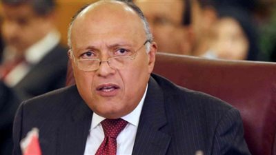مباحثات مصرية صربية بالقاهرة لتعزيز التعاون بين البلدين