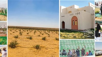 (فيديو) تراجع معدلات الفقر بنسبة 3% بمحافظات الوجه القبلي