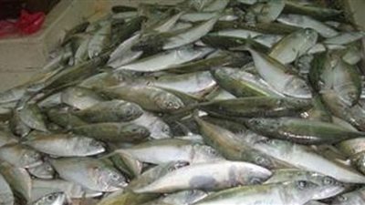 ارتفاع أسعار الأسماك بسبب الحمى القلاعية