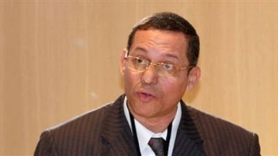 سلامة: المناطق العازلة فى سوريا لا تحتاج قرارًا دوليًا