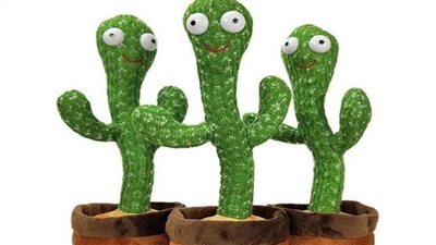 فيديو.. أستاذ تخاطب يُحذر: الصبارة الراقصة تزيد من عزلة الأطفال