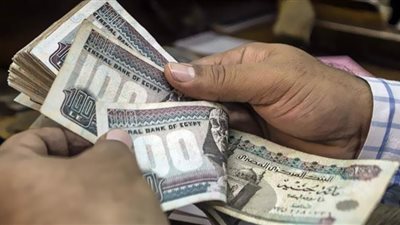 خبير اقتصادي: 5 تريليونات جنيه حجم ودائع وشهادات القطاع المصرفي المصري
