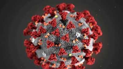 دلتا بلس يزور مصر.. 4 أعراض تدل على إصابة الأشخاص