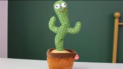 فيديو.. أخصائي نفسي تكشف خطورة الصبارة الراقصة