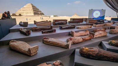 سيبهر العالم| الآثار: الإعلان عن كشف أثري في سقارة الشهر المقبل (فيديو)