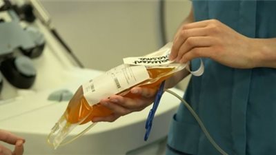إنفوجراف.. مراحل التبرع ببلازما الدم
