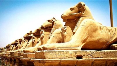 الصغير: اكتشفنا مصنعين للنبيذ منذ أيام الفراعنة خلال تطوير طريق الكباش (فيديو)