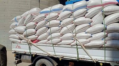 بها حشرات.. ضبط 890 طن أقماح مع مدير مطحن في القليوبية