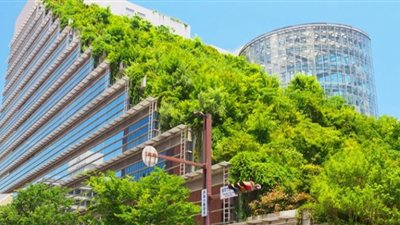 (فيديو) الجامعة اليابانية: برنامج العمارة المستدامة تستهدف تصميم مباني صديقة للبيئة