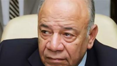 خبير: لا وجود للمنظمات المدنية فى مصر