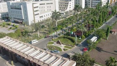 استقالة مدير مركز الكلى بالمنصورة